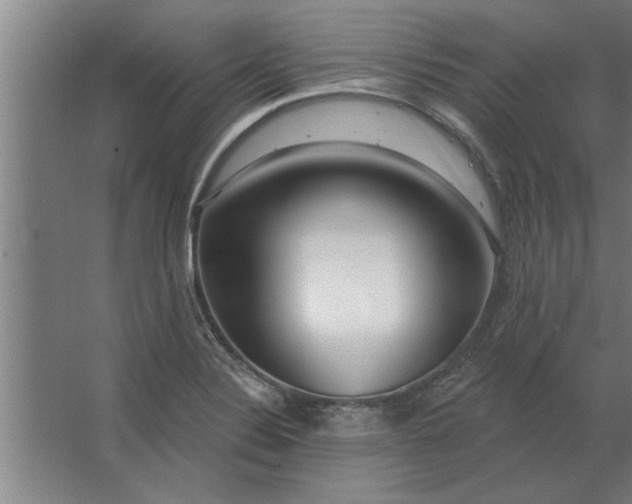 X0000062911324200601271729