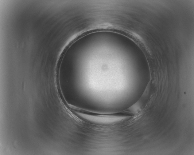 X0000062911326200601271729