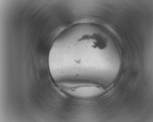 X0000062911329200601271729