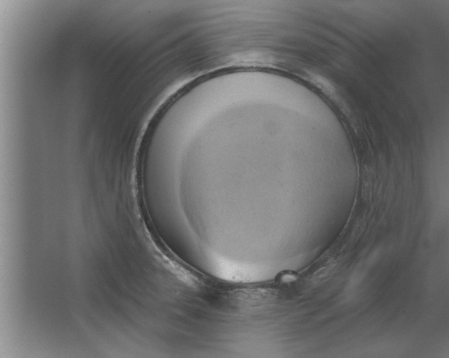 X0000062911331200601271729