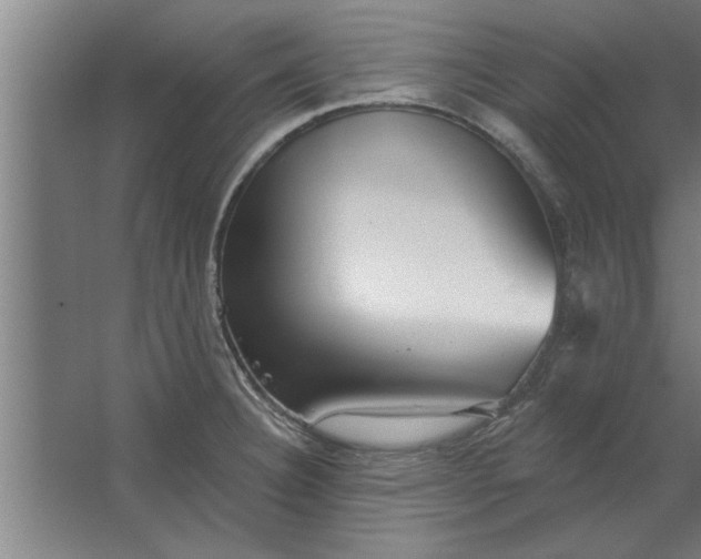 X0000062911332200601271729