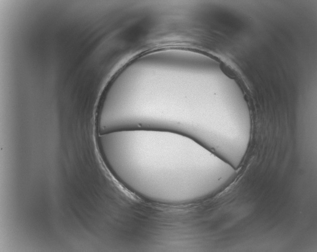 X0000062911333200601271729