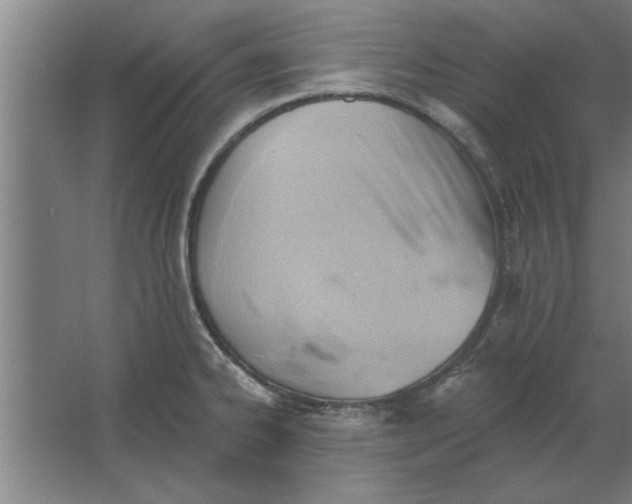 X0000062911334200601271729