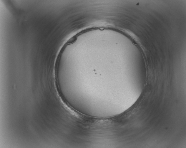 X0000062911335200601271729