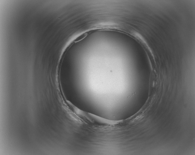 X0000062911336200601271729