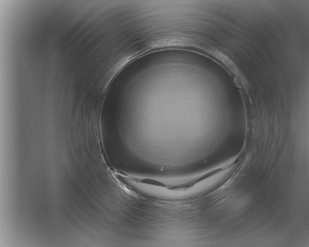 X0000062911337200601271729