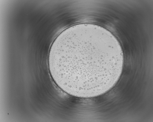 X0000062911338200601271729