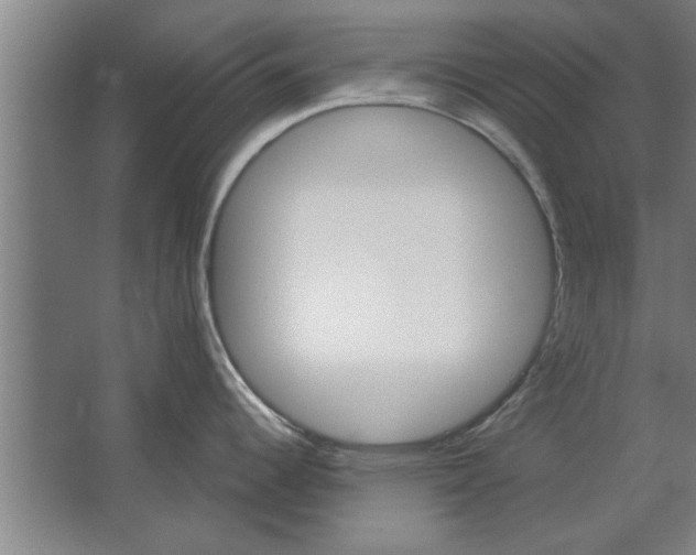 X0000062911344200601271730