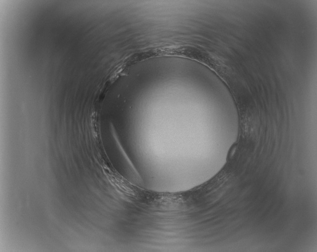 X0000062911346200601271729