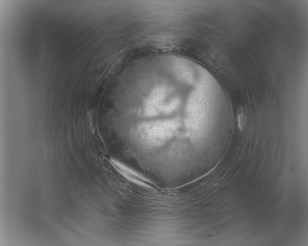 X0000062911347200601271729