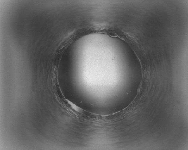 X0000062911349200601271729