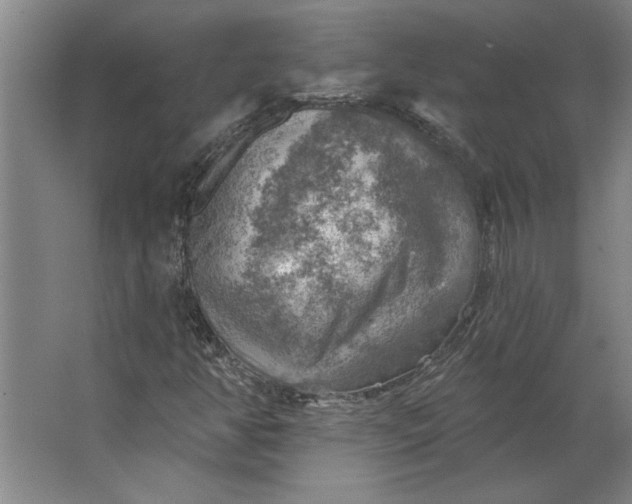 X0000062911350200601271729