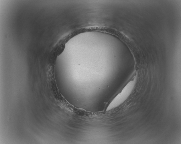 X0000062911351200601271729