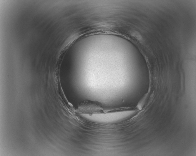 X0000062911354200601271729