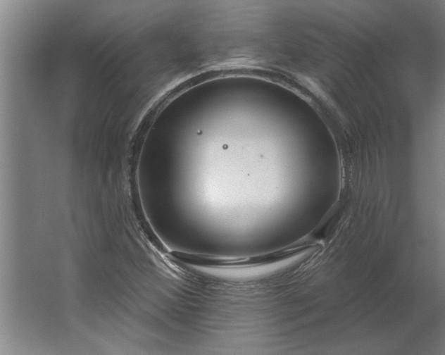 X0000062911356200601271729