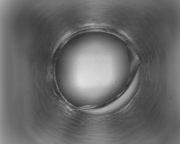 X0000062911357200601271729