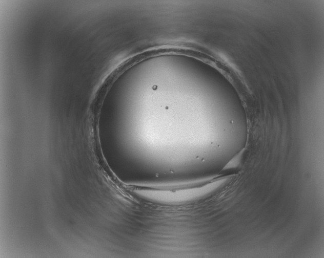 X0000062911360200601271729