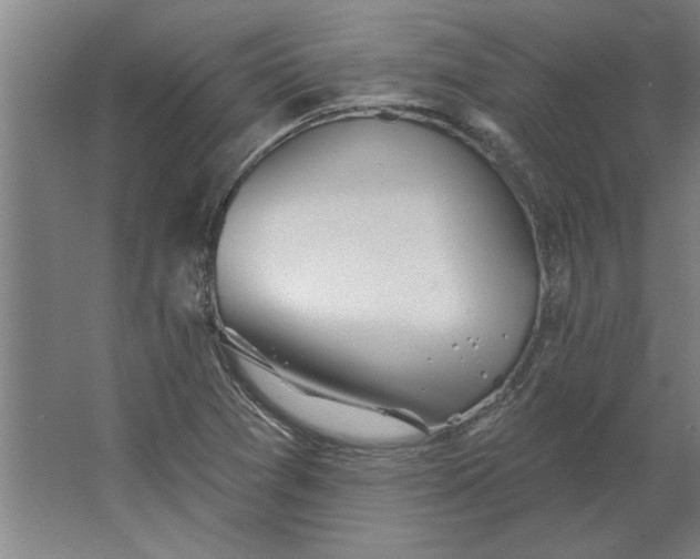 X0000062911361200601271728