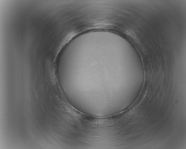 X0000062911362200601271728