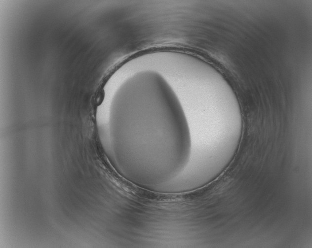 X0000062911363200601271728