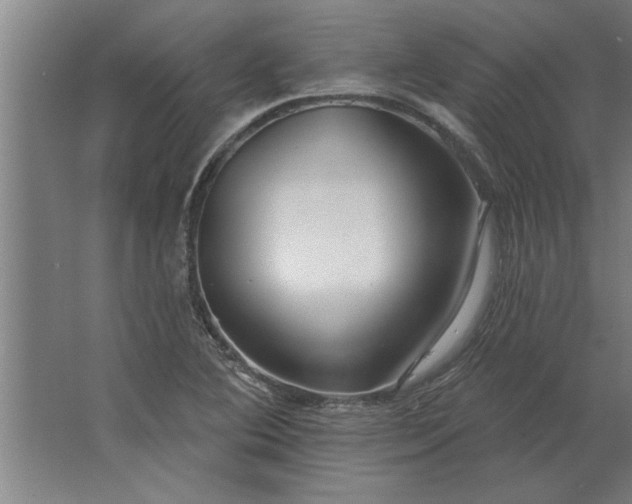 X0000062911364200601271728