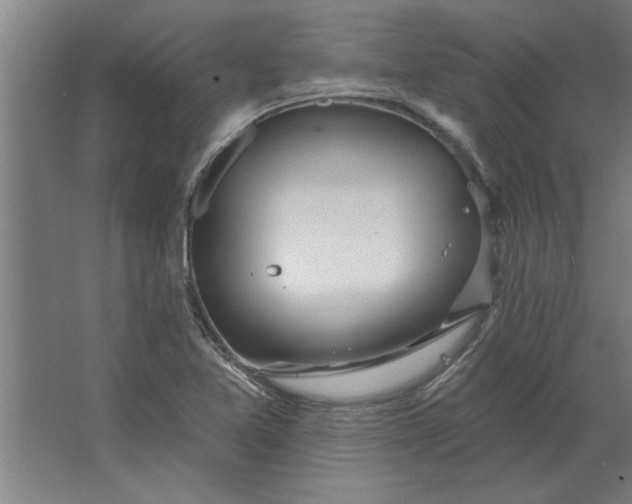 X0000062911365200601271728