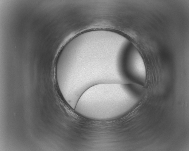 X0000062911366200601271728