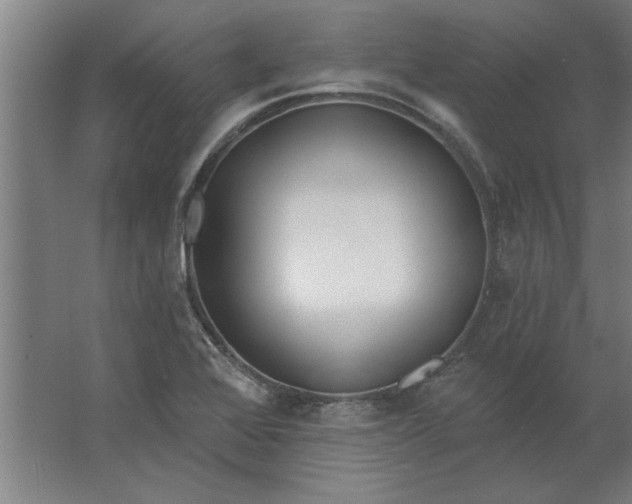 X0000062911368200601271728