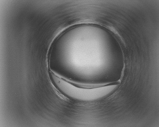 X0000062911372200601271728