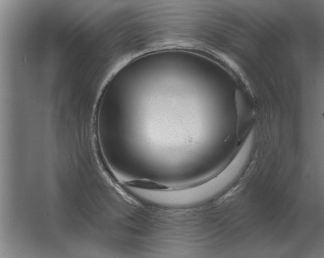 X0000062911373200601271728