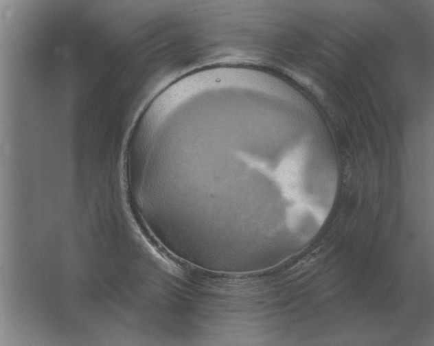 X0000062911375200601271728