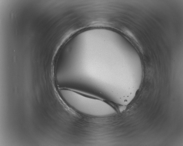 X0000062911376200601271728