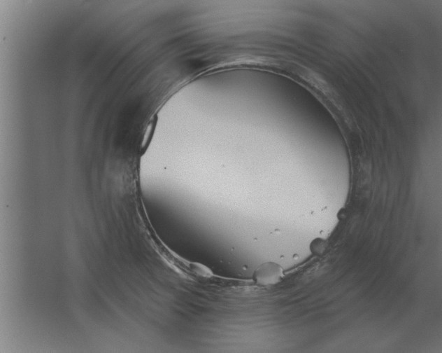 X0000062911377200601271728