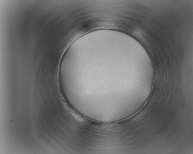 X0000062911378200601271728