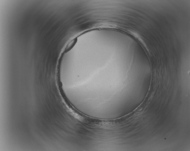 X0000062911379200601271728