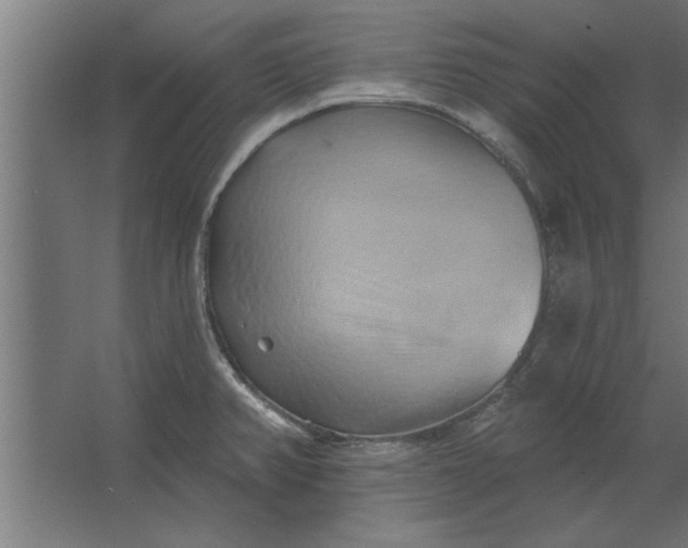 X0000062911382200601271728