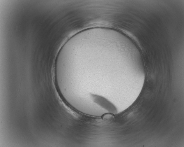 X0000062911383200601271728