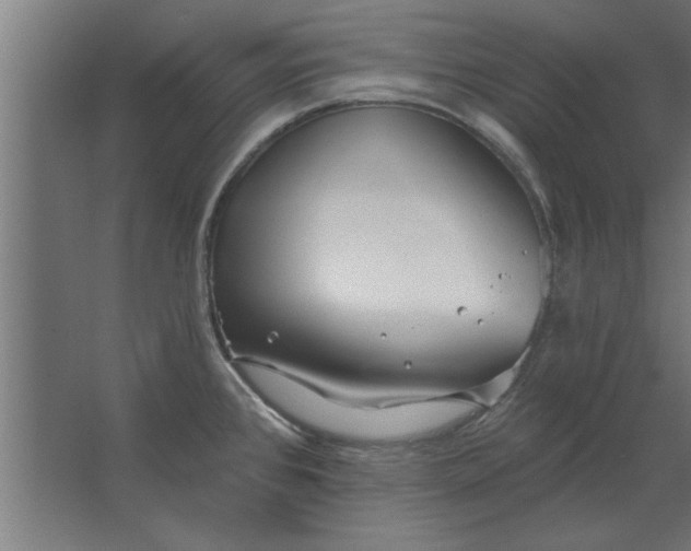 X0000062911384200601271728