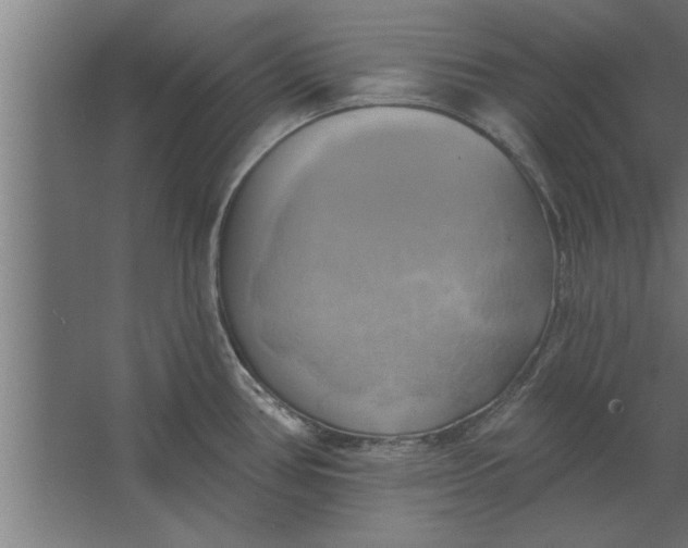 X0000062911386200601271728