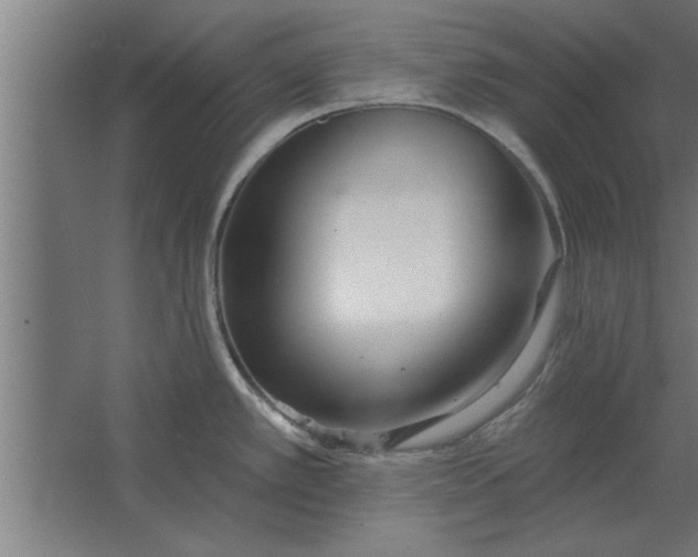 X0000062911389200601271728