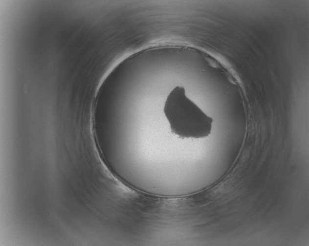 X0000062911390200601271728