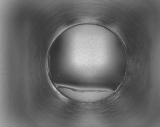 X0000062911391200601271728