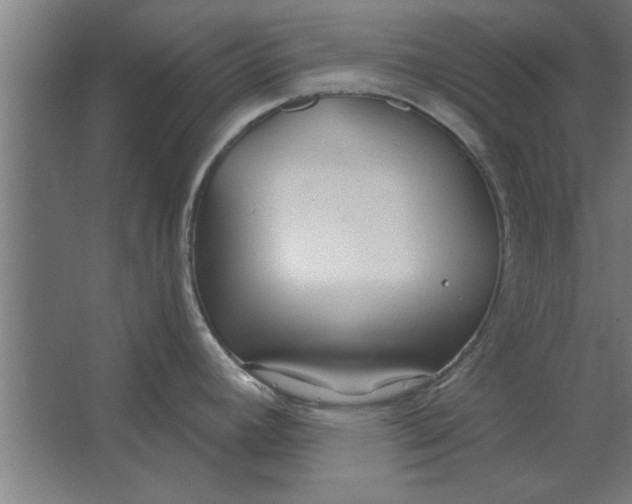 X0000062911392200601271728