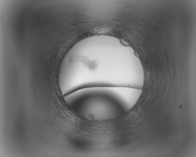 X0000062911393200601271727