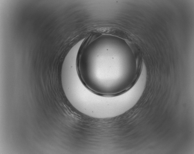 X0000062911394200601271727