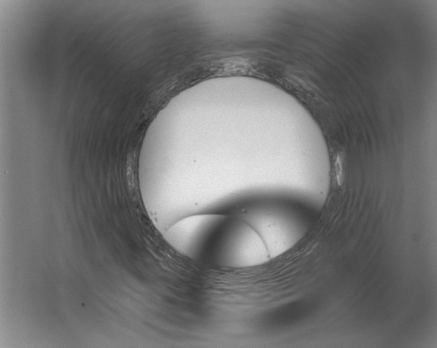 X0000062911395200601271727