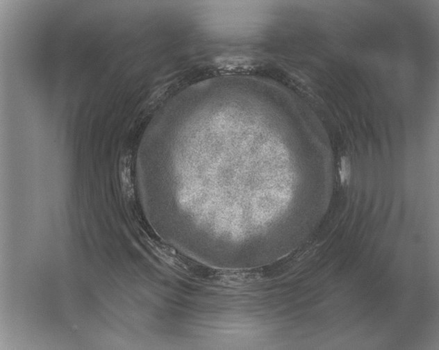 X0000062911396200601271727