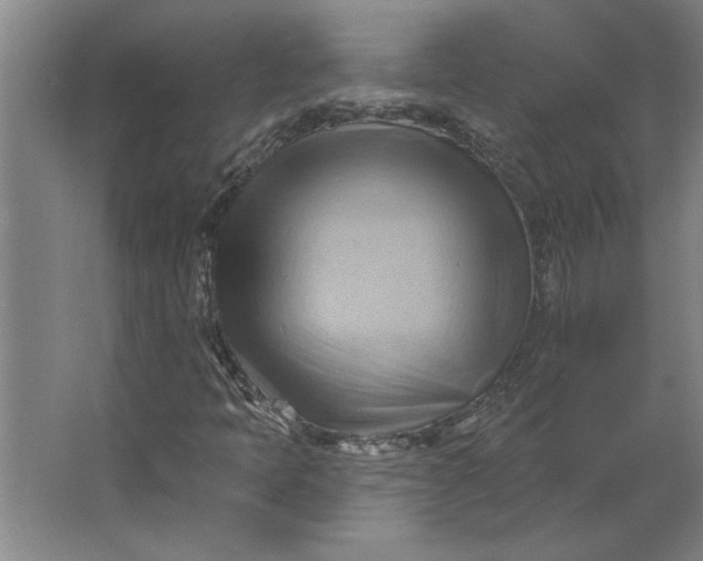 X0000062911397200601271727