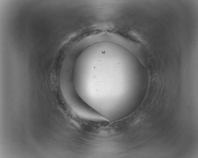 X0000062911398200601271727