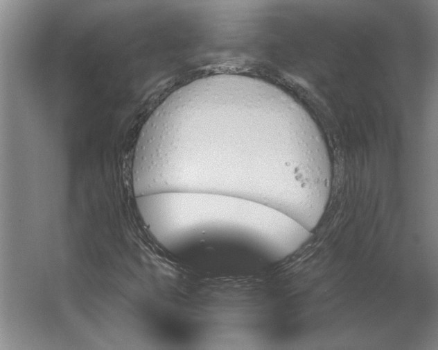 X0000062911399200601271727